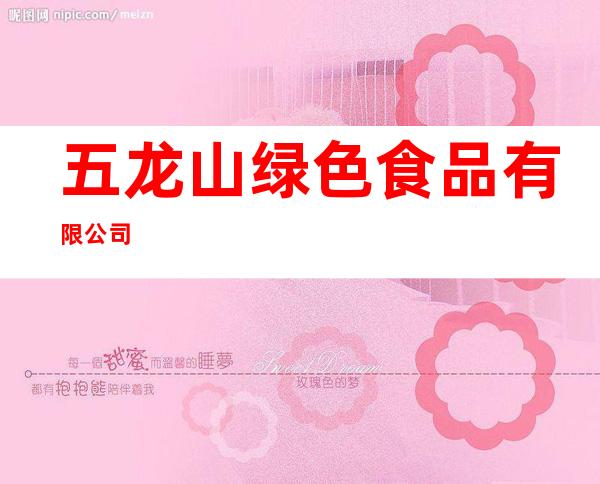 五龙山绿色食品有限公司